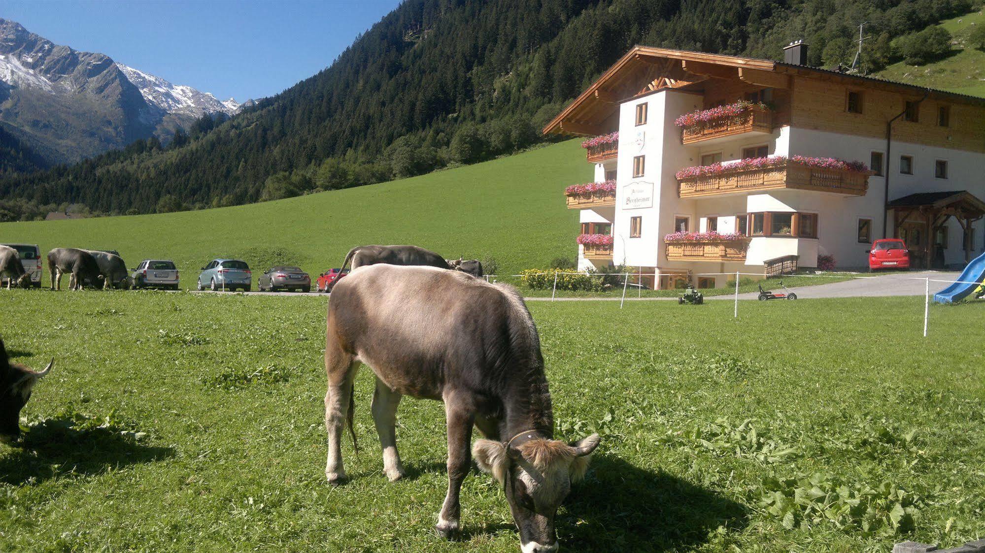 Alfaierhof-Bergheimat Gschnitz Exterior foto
