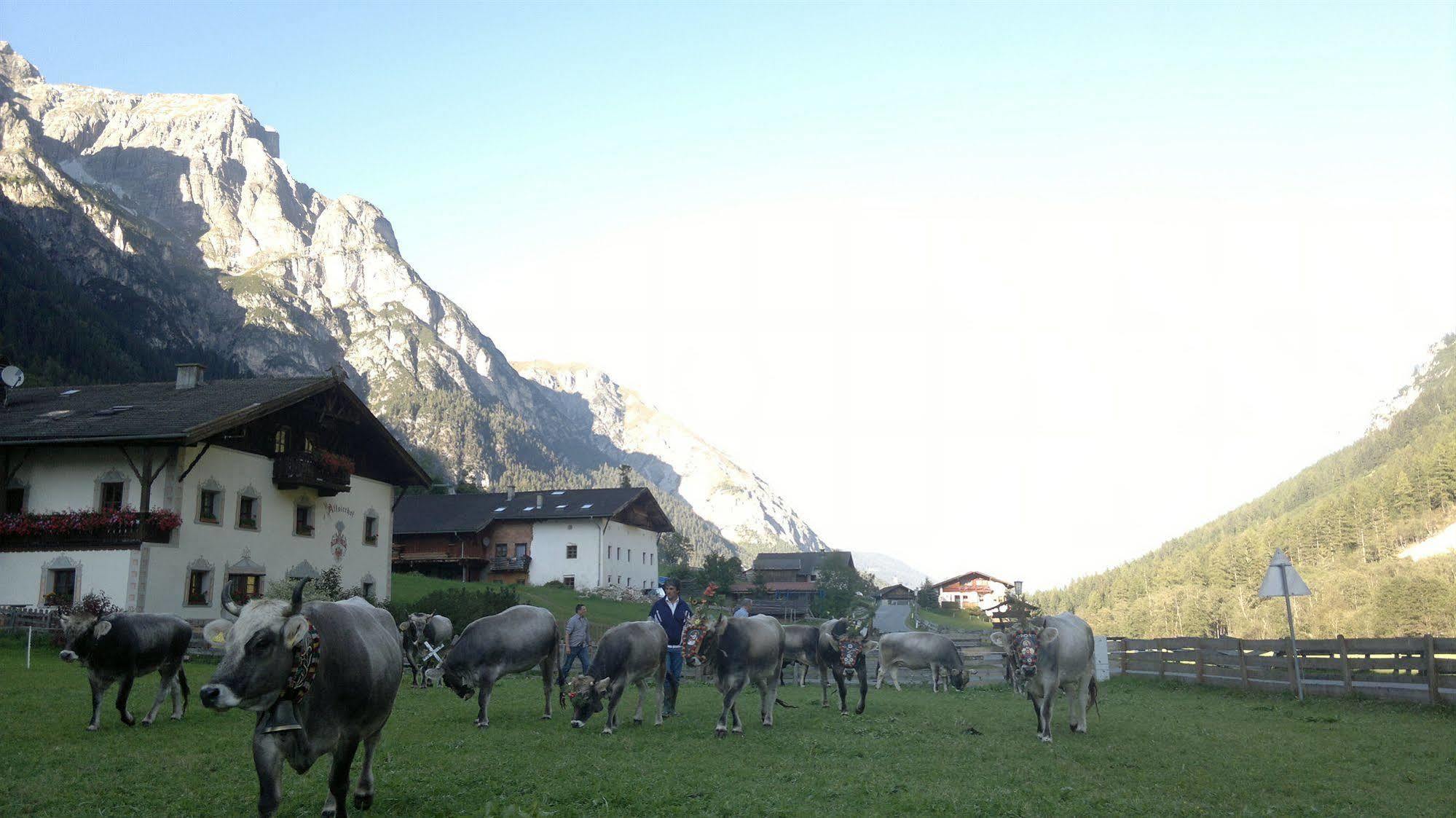 Alfaierhof-Bergheimat Gschnitz Exterior foto