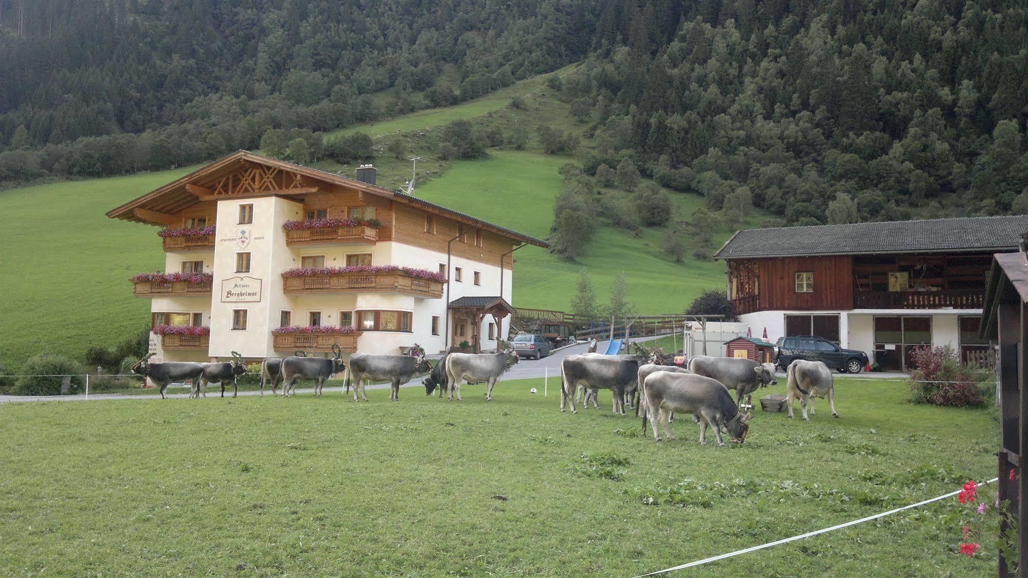 Alfaierhof-Bergheimat Gschnitz Exterior foto