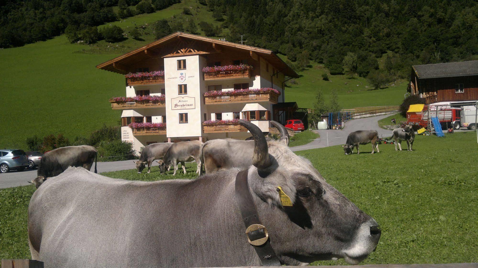 Alfaierhof-Bergheimat Gschnitz Exterior foto